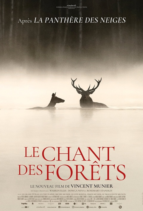 Le Chant des Forêts