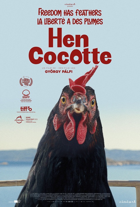 Hen (Cocotte)