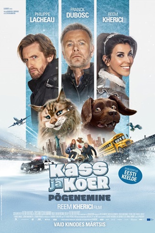 Thule Koda Thule Kino