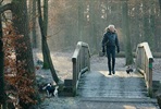 EventGalleryImage_rokumentticomfck2020twoandahalfyearswithscooter1-w350.jpg