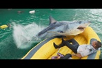 EventGalleryImage_DeepWater4.jpg