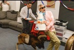 EventGalleryImage_Jackass_BestAndLast_SavonKinot_2.jpg