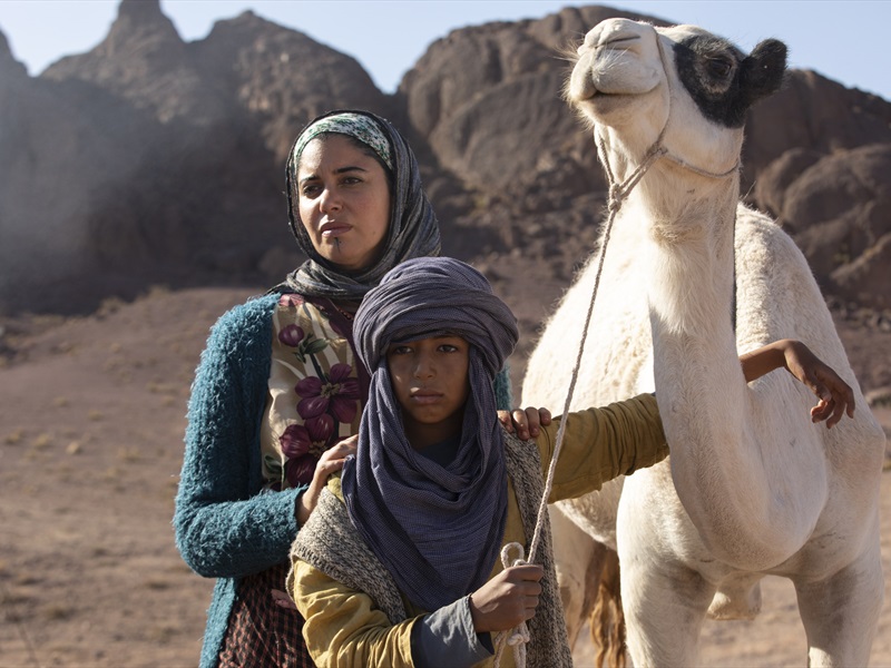 Poiss ja kaamel: Sahara seiklus