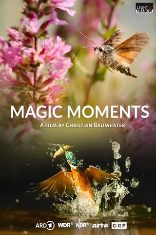 21. MAFF: Nature's Magic Moments