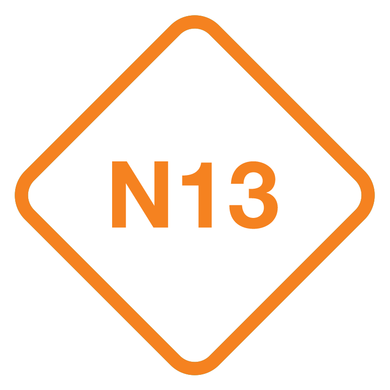 N13 – Žiūrovams nuo 13 metų